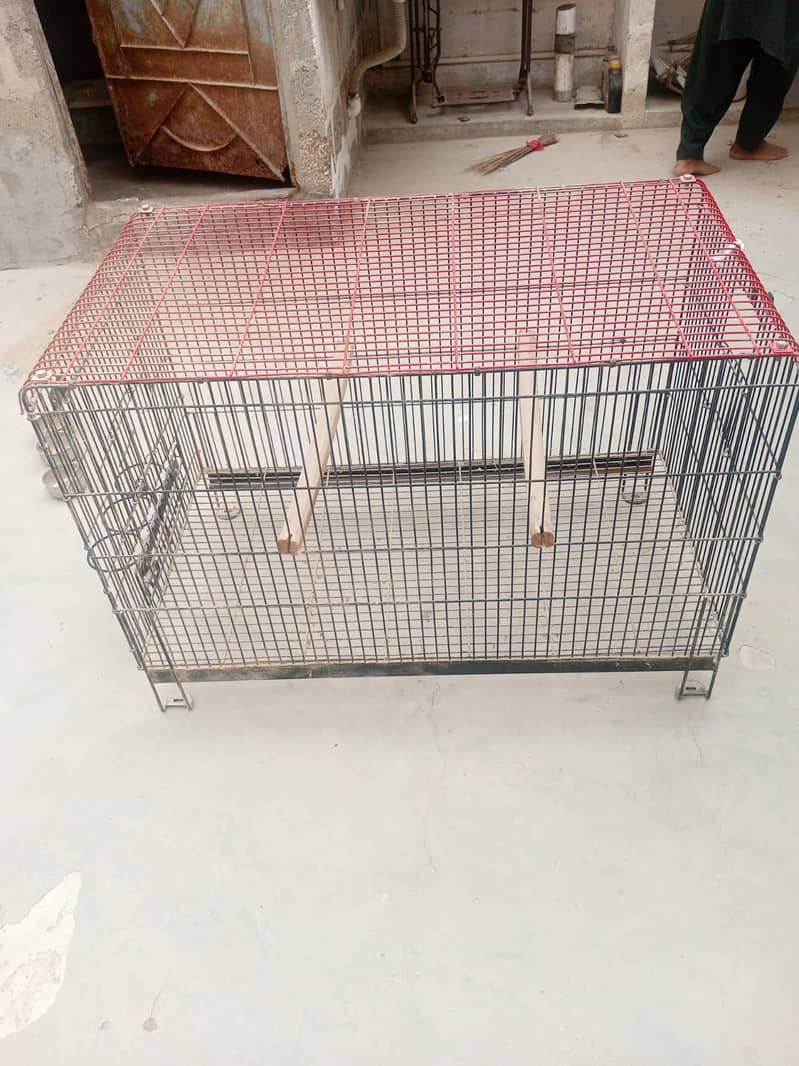 cage for sale 11