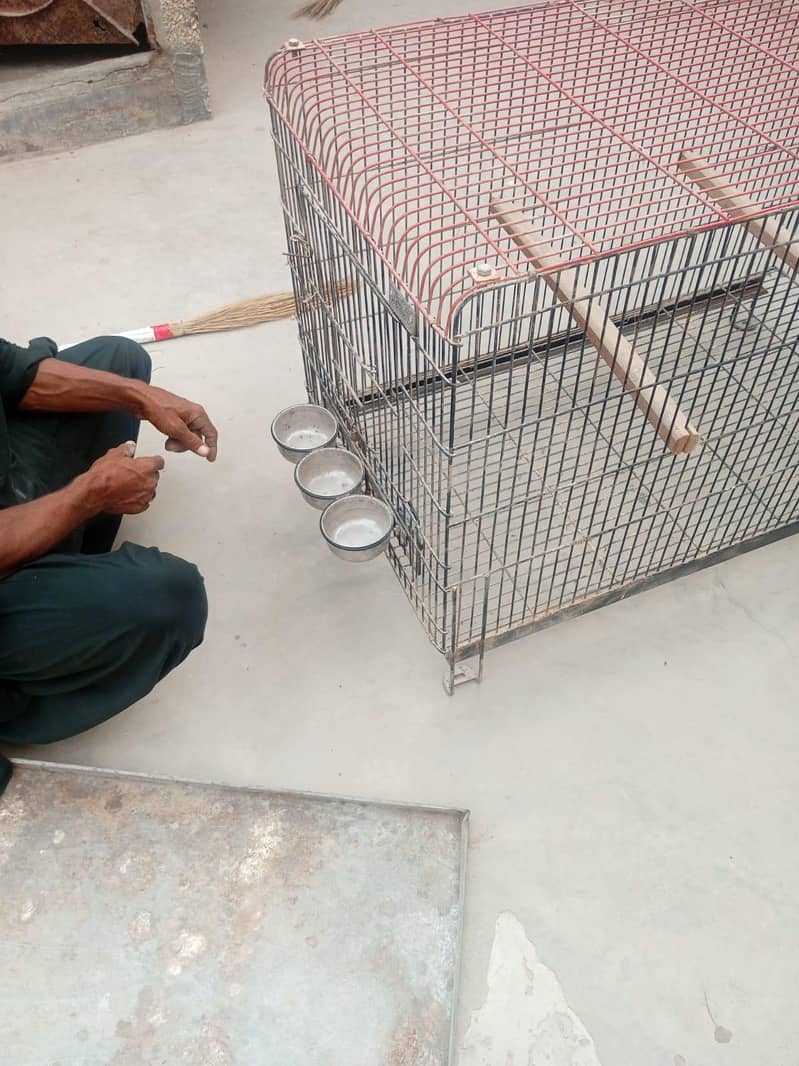 cage for sale 13