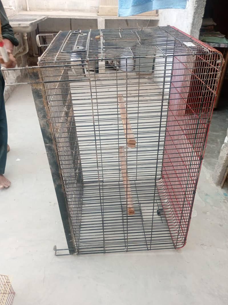 cage for sale 15