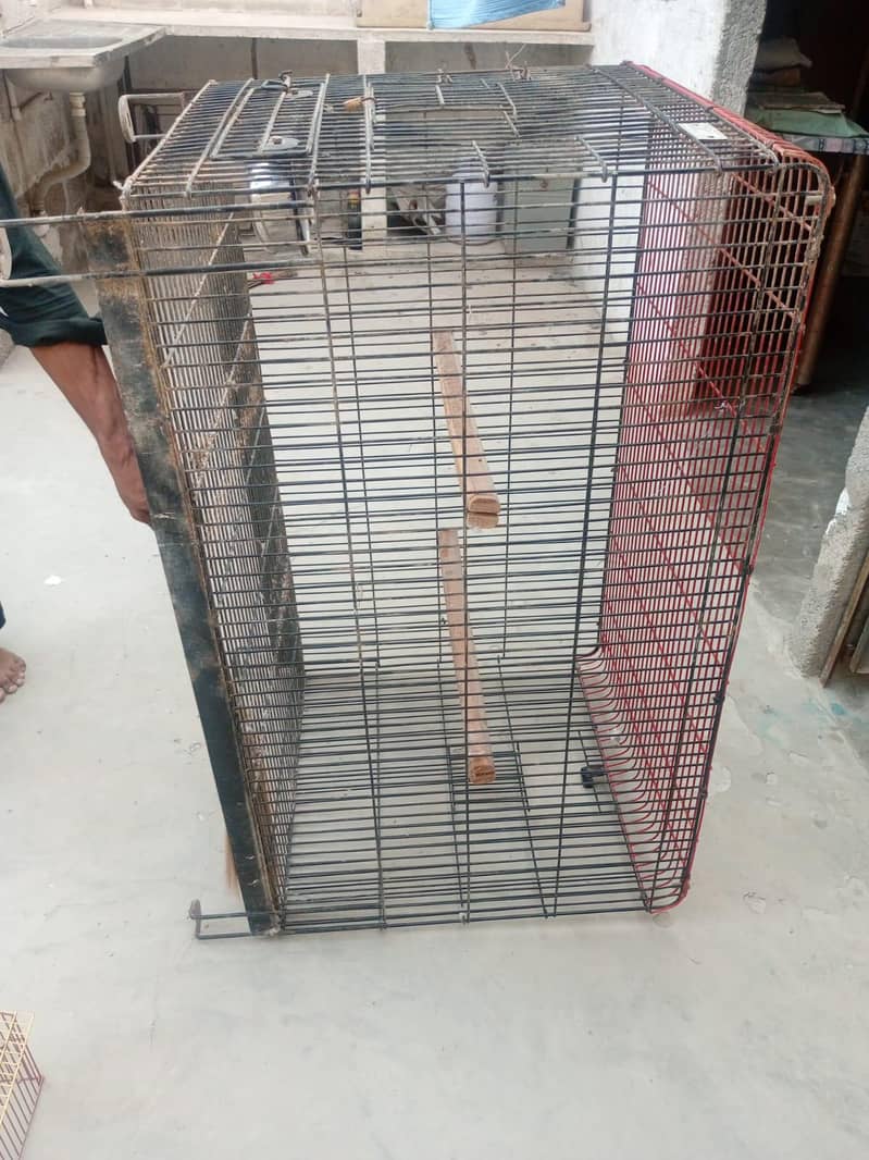 cage for sale 18