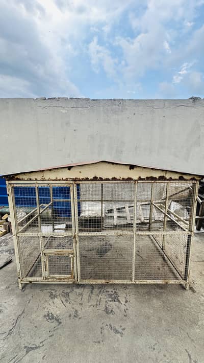 Cage /Hen/Parrot/Ducks