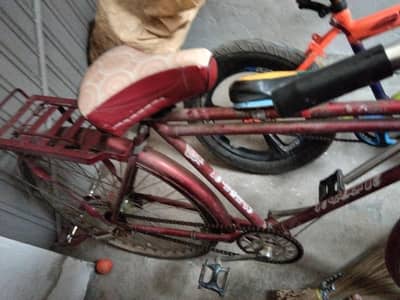 new bycyle