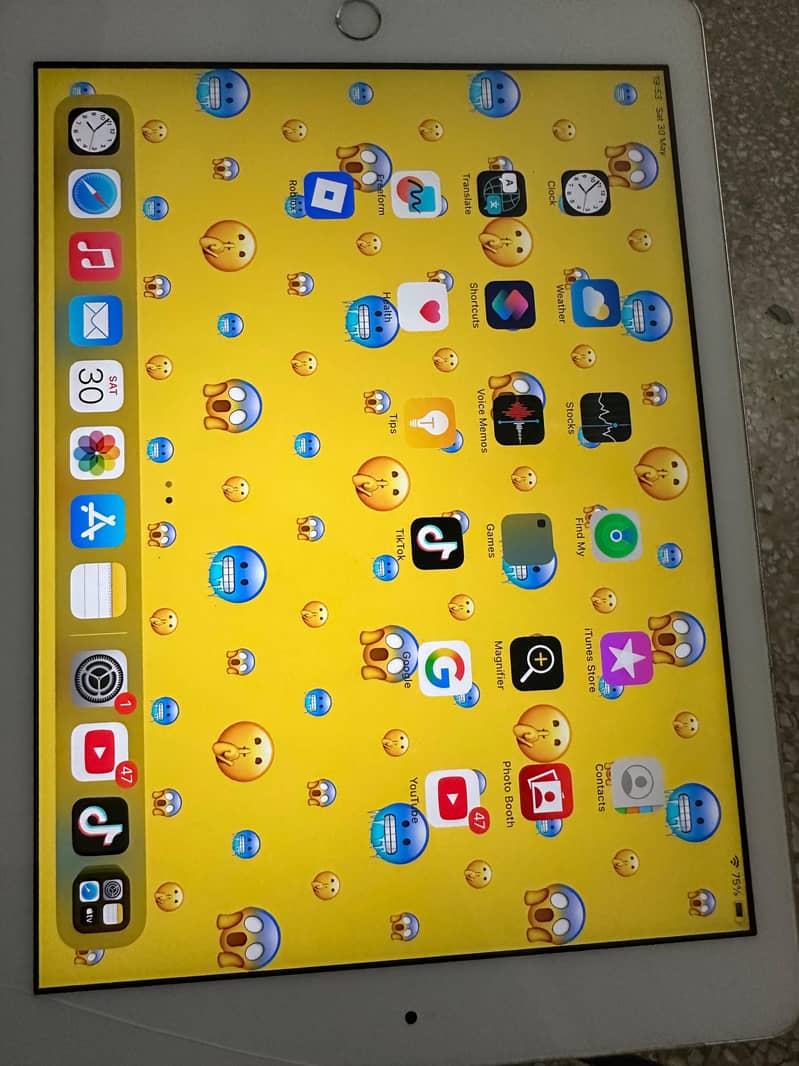 ipad iPhone 2