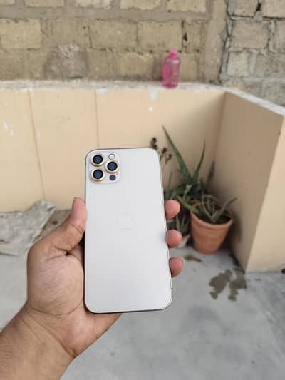 iPhone 12 Pro (PTA Approved) dual Sim