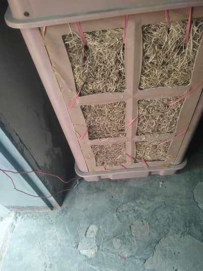 12volt air colar