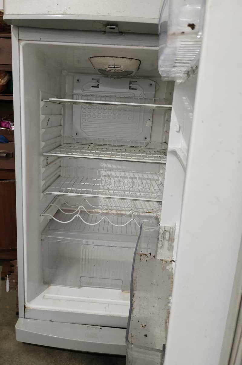 Waves refrigerator 1