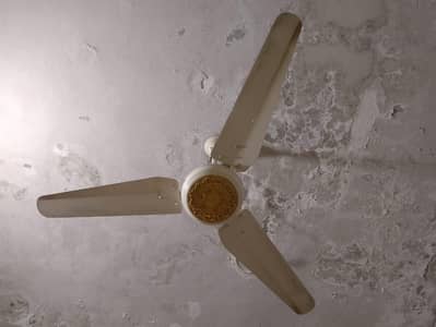 Lahore ceiling fan 3 month used