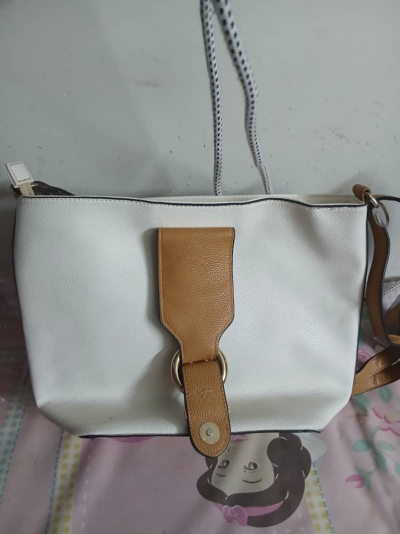 tote bag 2