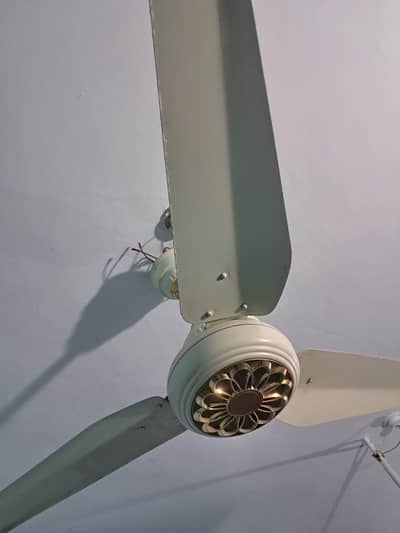 12 Watt AC/DC Fans For Sale (2 Fans) Company: Sky Fans