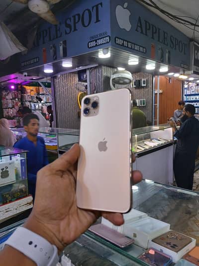 Apple iPhone 11 Pro Max water pack