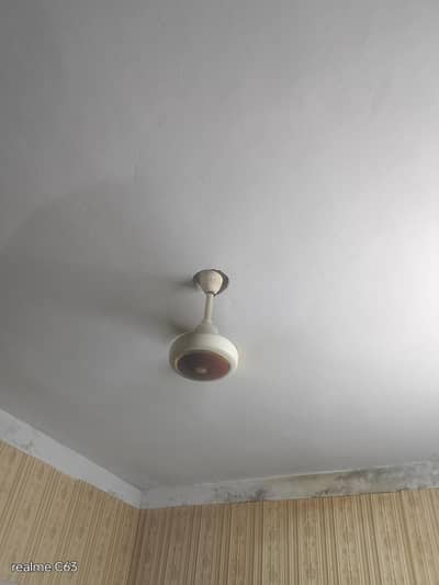 cieling fan 56'