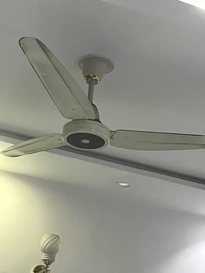 GFC & ROYAL FAN 10/10. Ceiling Fan   5 PC