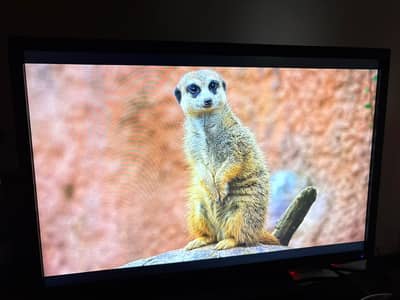 24inch Monitor