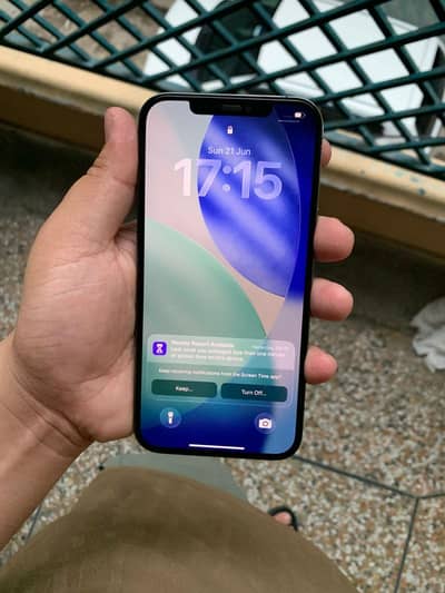 Apple iPhone 12 Pro Max