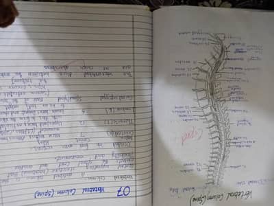 pmf radiography and imaging technologu practical note book for 1st yea