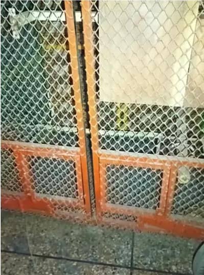 best cage for parrots grey parrot and Kaka 2