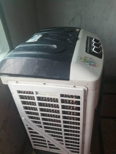 Climax air cooler
