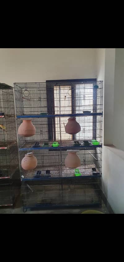 8 portion Umar folding cage