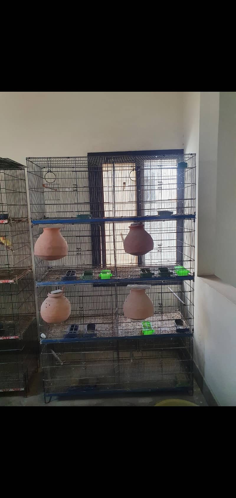 8 portion Umar folding cage 0