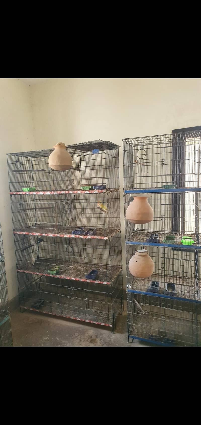 8 portion Umar folding cage 1