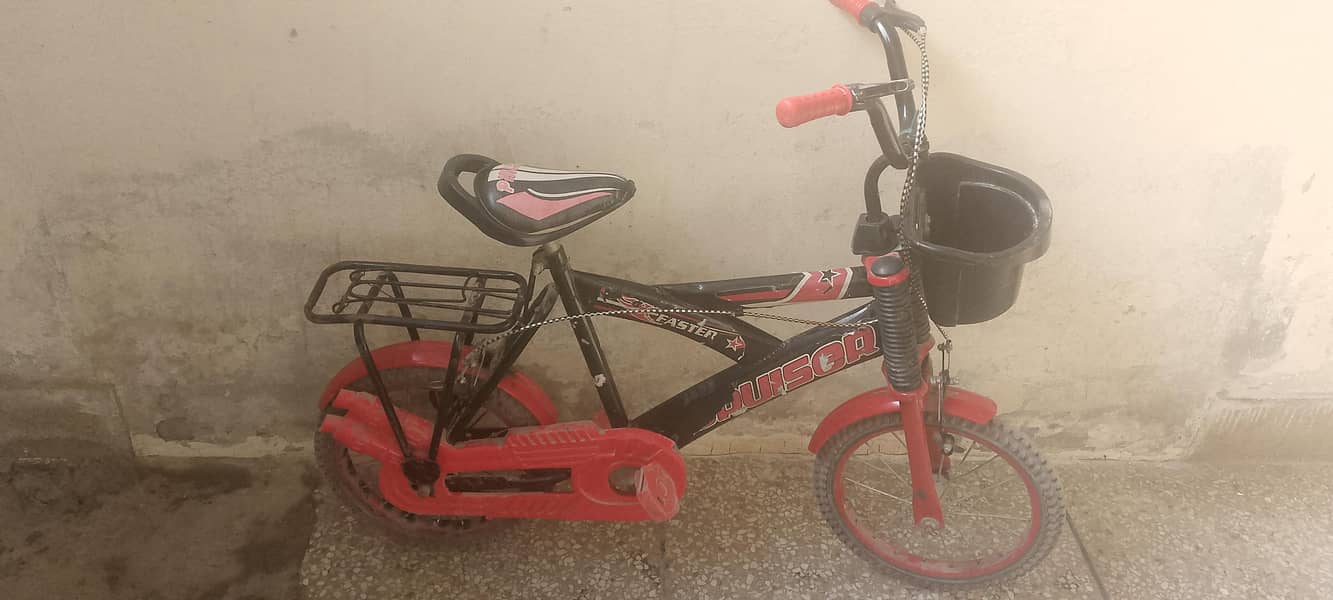 bicycle 0
