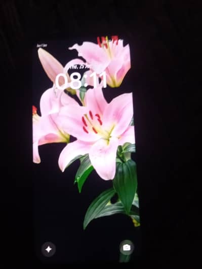 OPPO A6