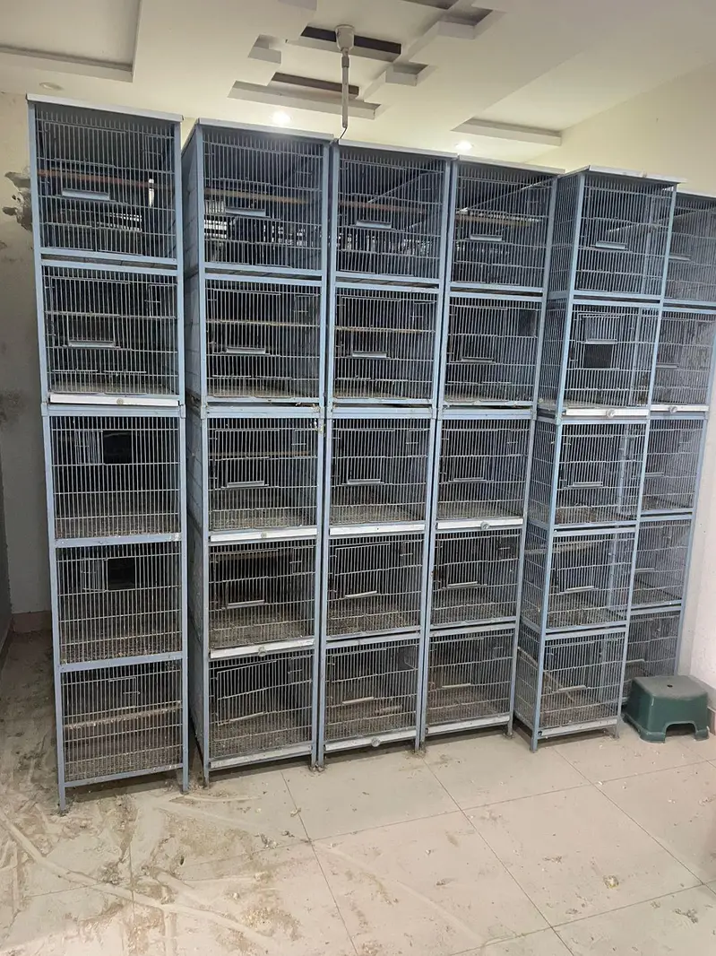 use cage — photo 2