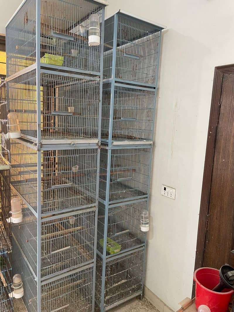use cage 3