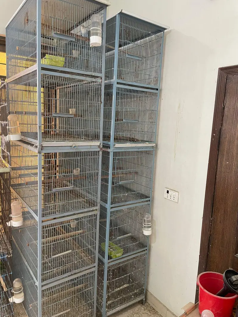 use cage — photo 4
