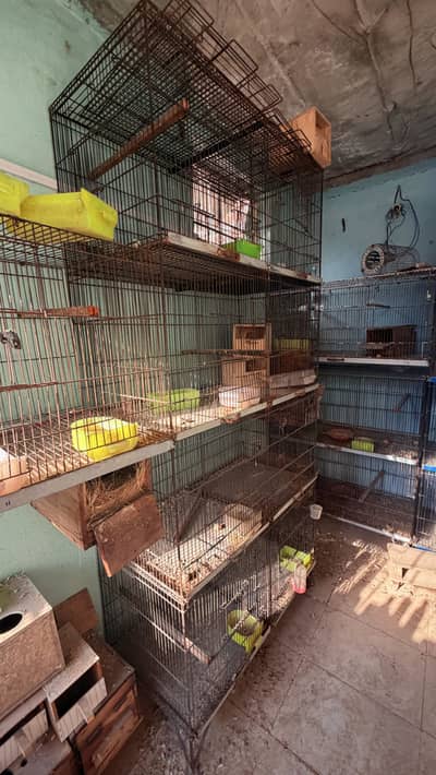Pinjra / pinjrey / cages