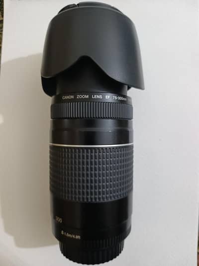 canon zoom lens EF Ⅲ 75-300mm