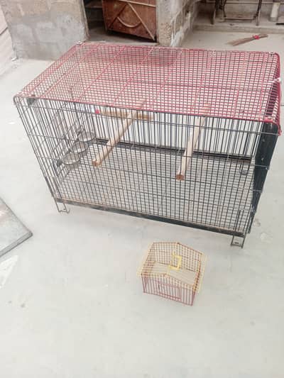 aspishal cage Rwo payrit  sold taar