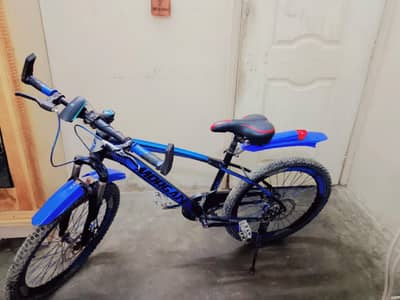 Morgan cycle 24 size