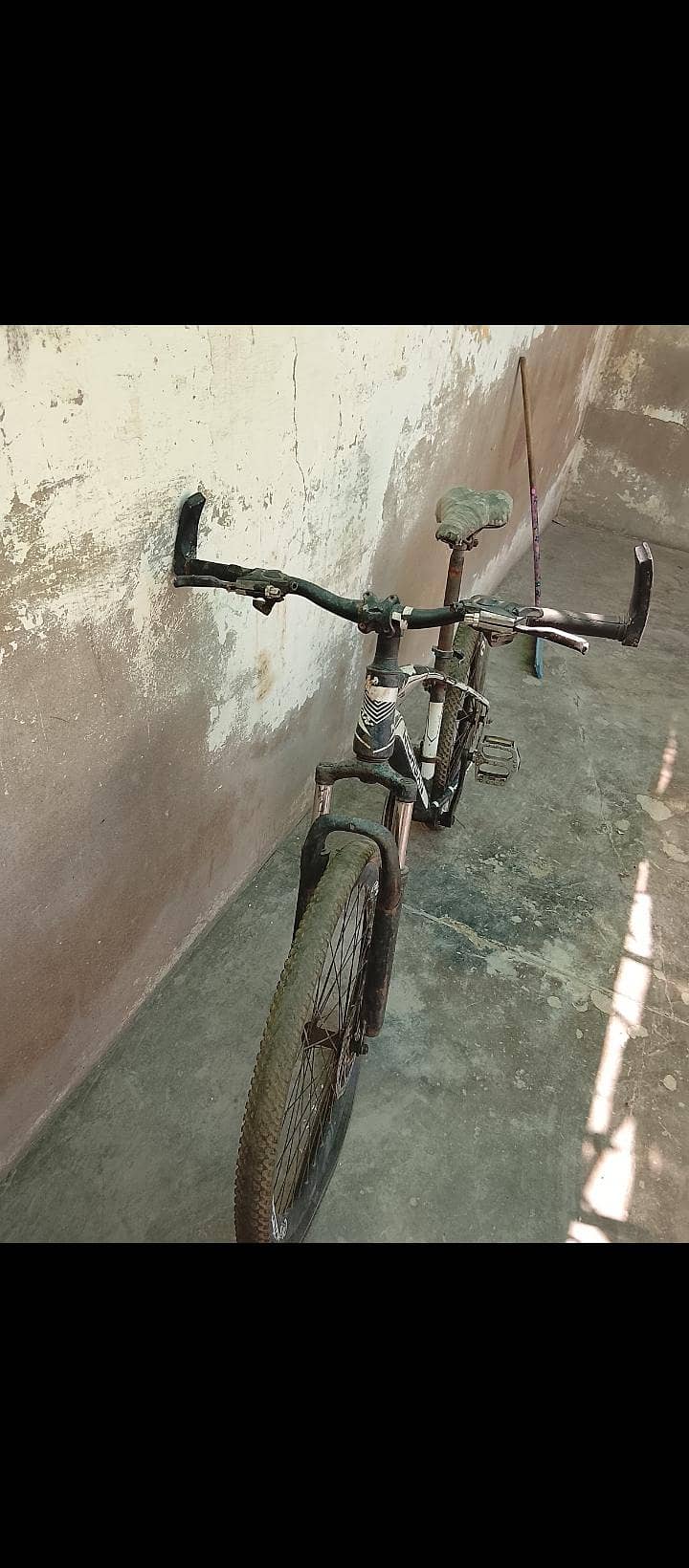 cycle 1