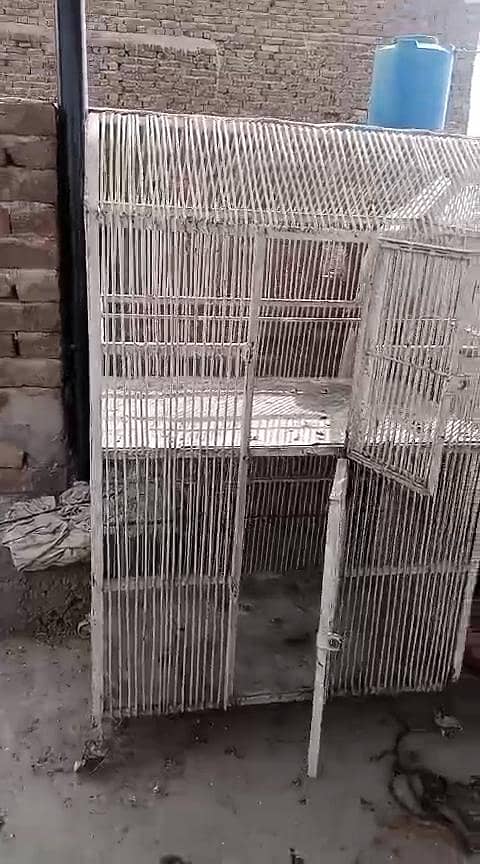 Cages 1