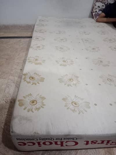 Sofa 6 inches