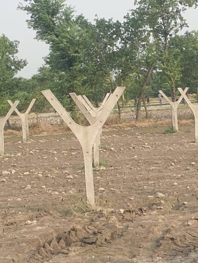 Cemnet pillar For sale