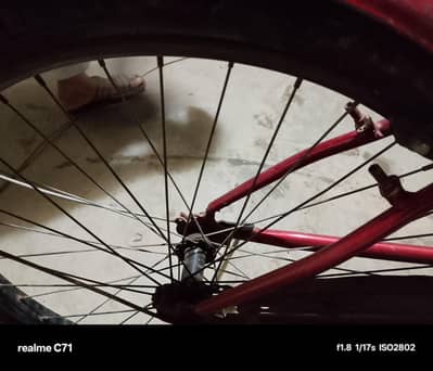 cycle size 22