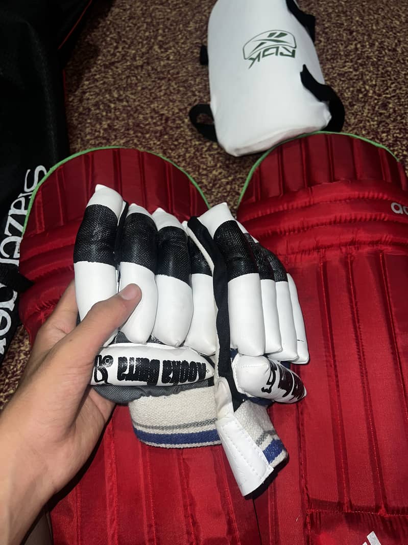 Cricket kit 1
