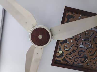 Pak fan 56 inch 2 fans