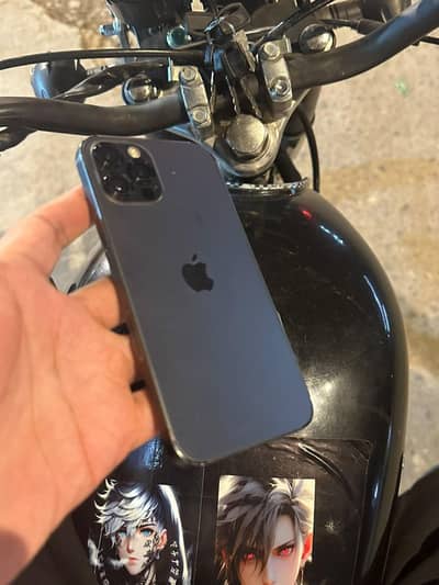 Apple iPhone 12 Pro