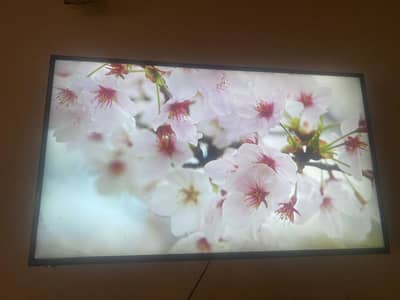 Lcd 60”
