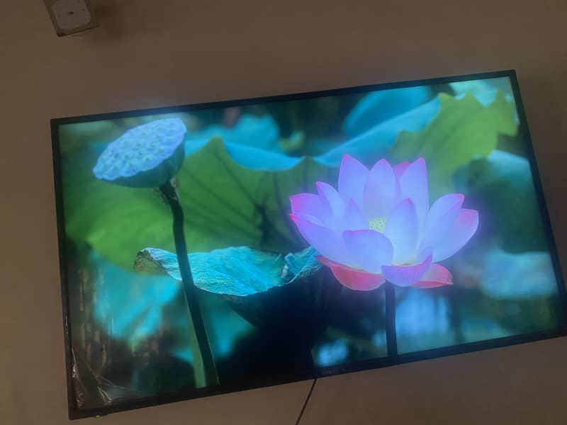Lcd 60” 2