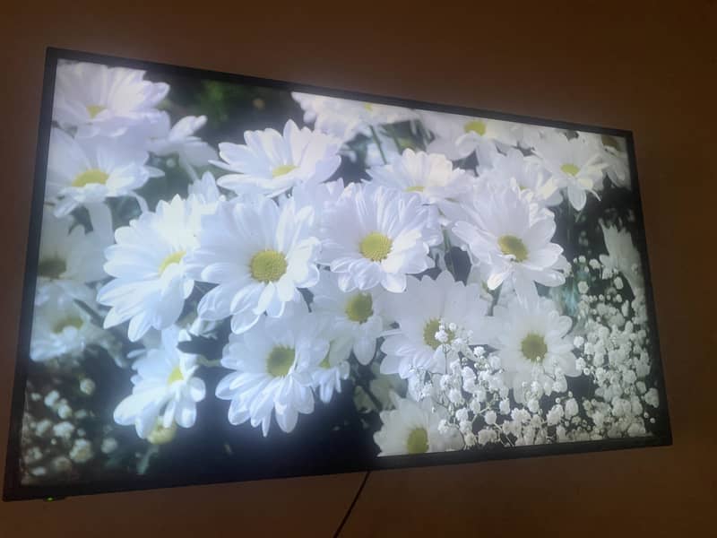 Lcd 60” 4