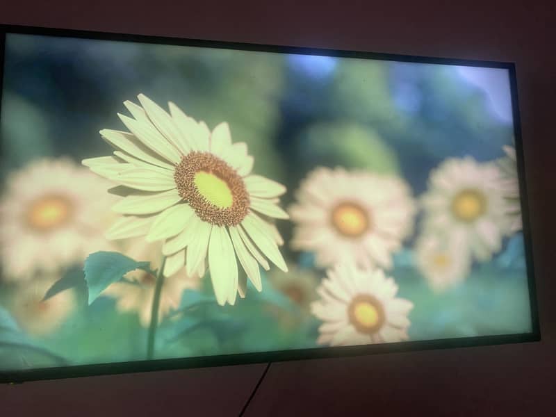 Lcd 60” 5