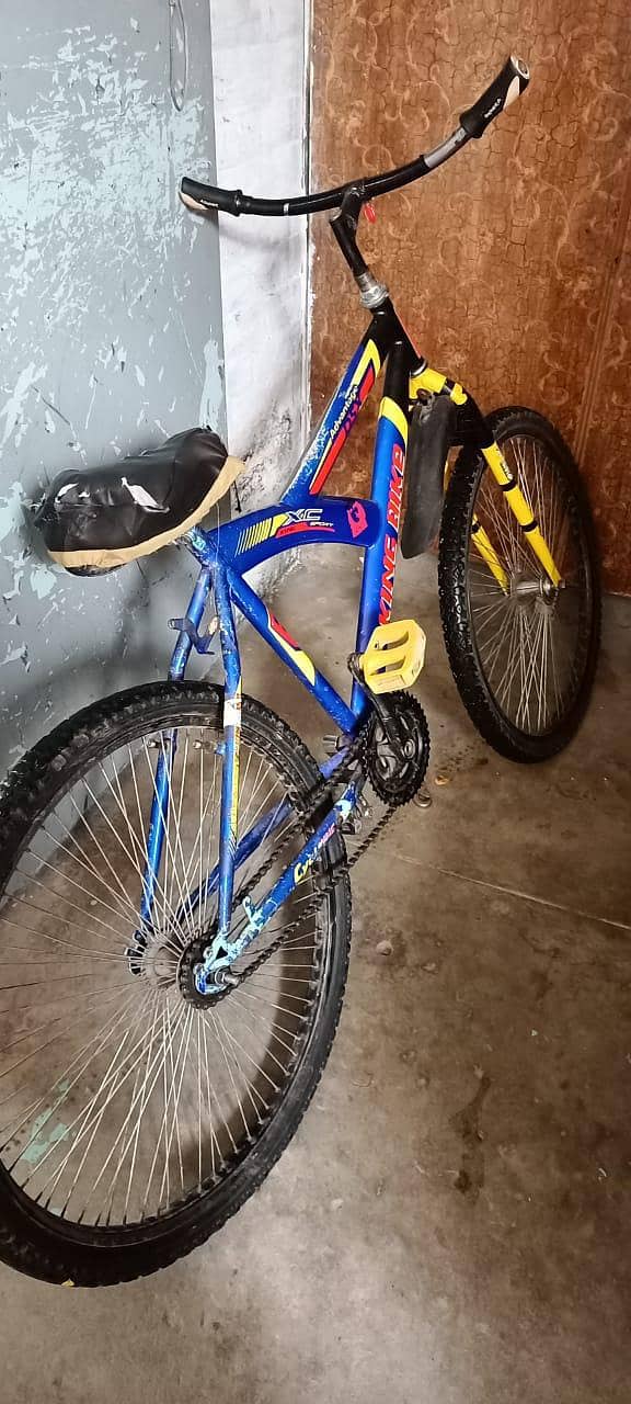 bicycle 4