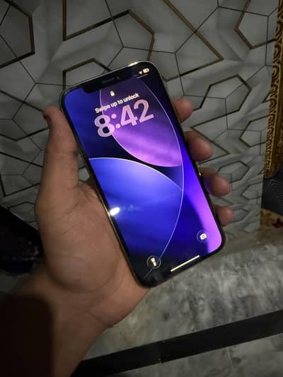 Apple iPhone 12 Pro