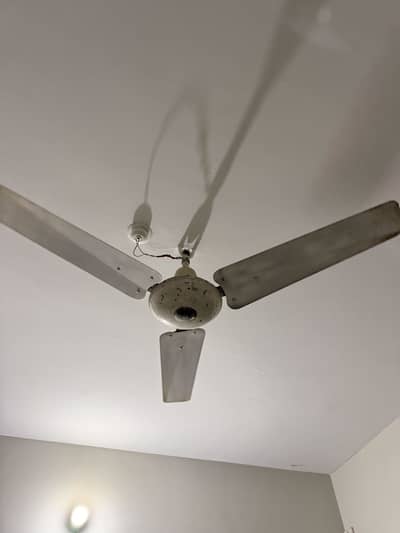 2 fan for sale