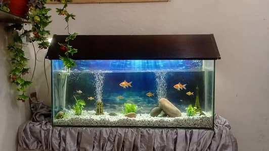 Aquarium