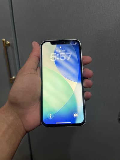 Apple iPhone 12